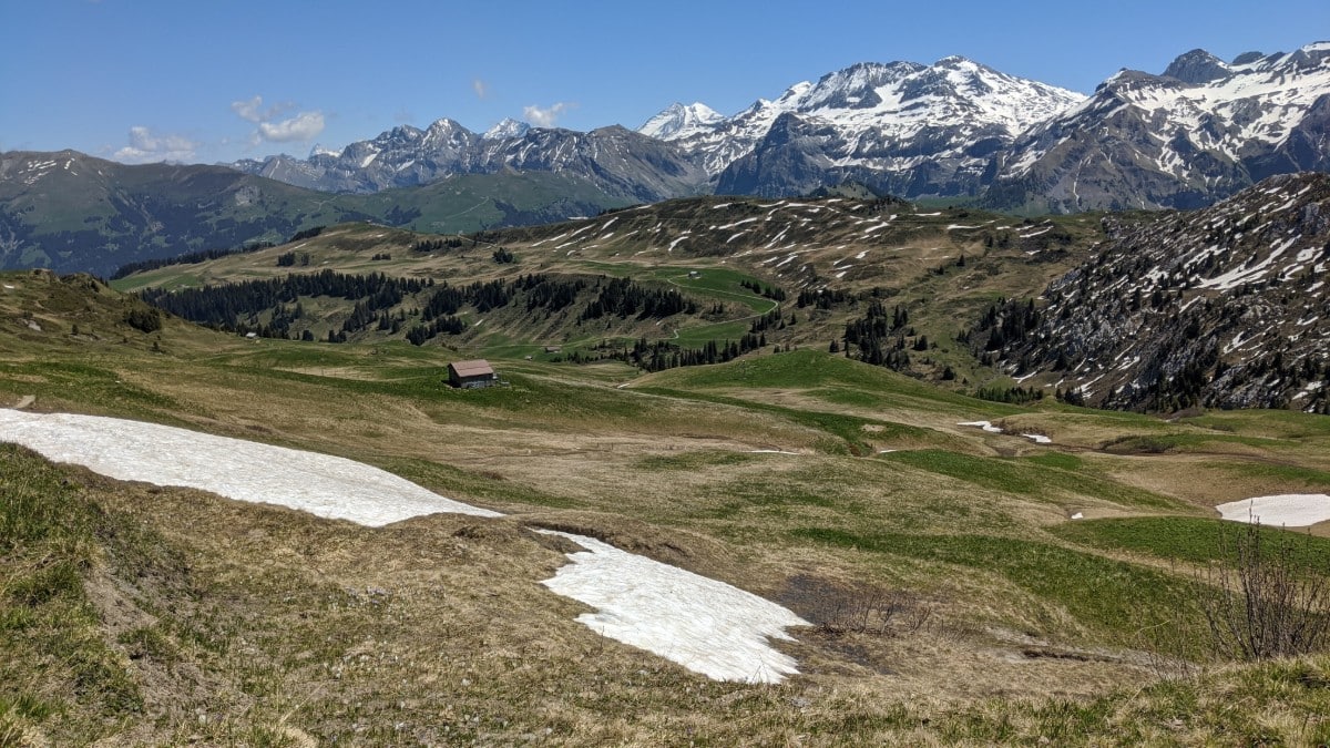 Blick auf die Schweizer Alpen vom Trütlisbergpass aus