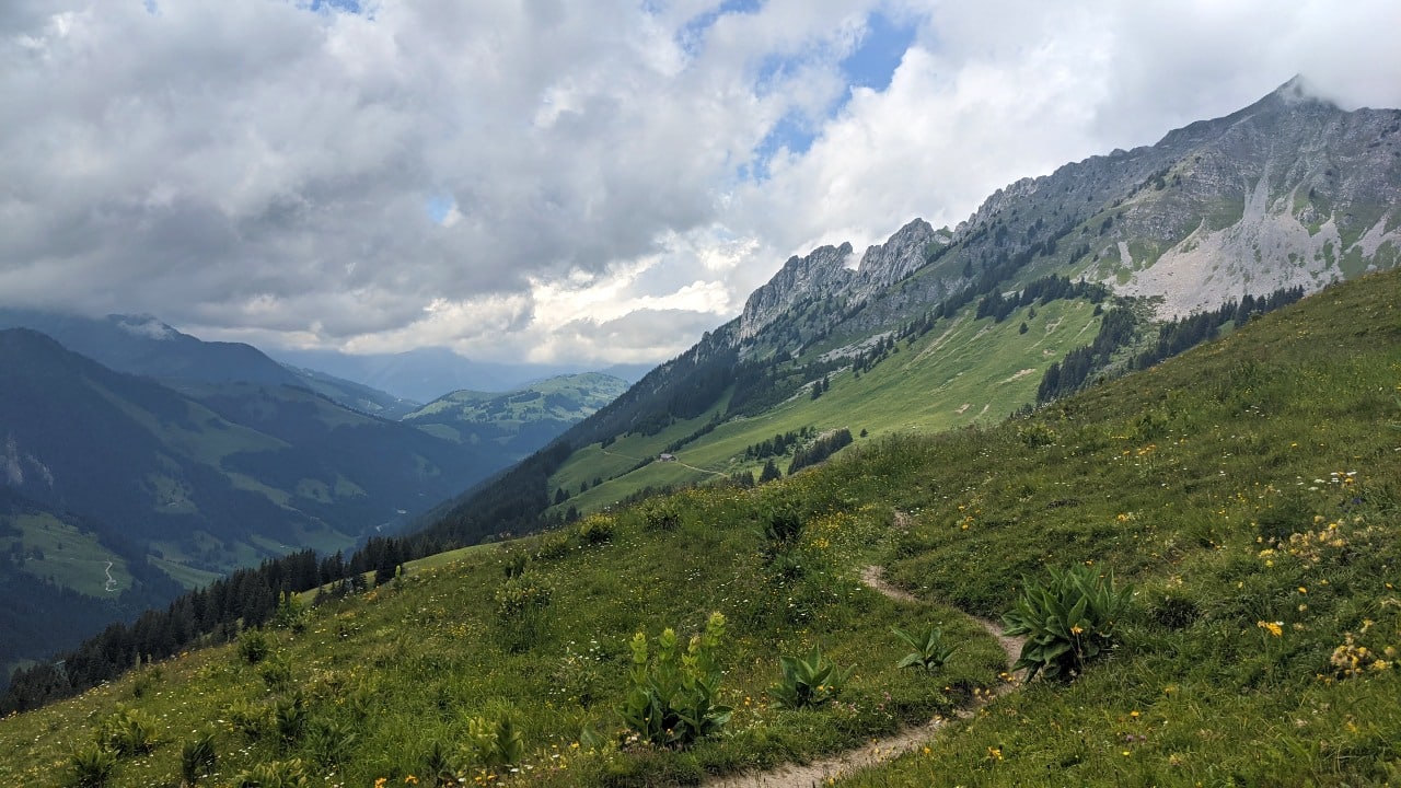 Wanderweg auf der Via Alpina vom Col de Jable-Pass nach L'Etivaz. Im Hintergrund die grüne Landschaft des Pays-d'Enhaut.
