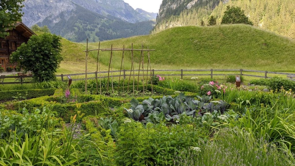 Le jardin de légumes et d'herbes devant le Ruedihus à Kandersteg, Suisse