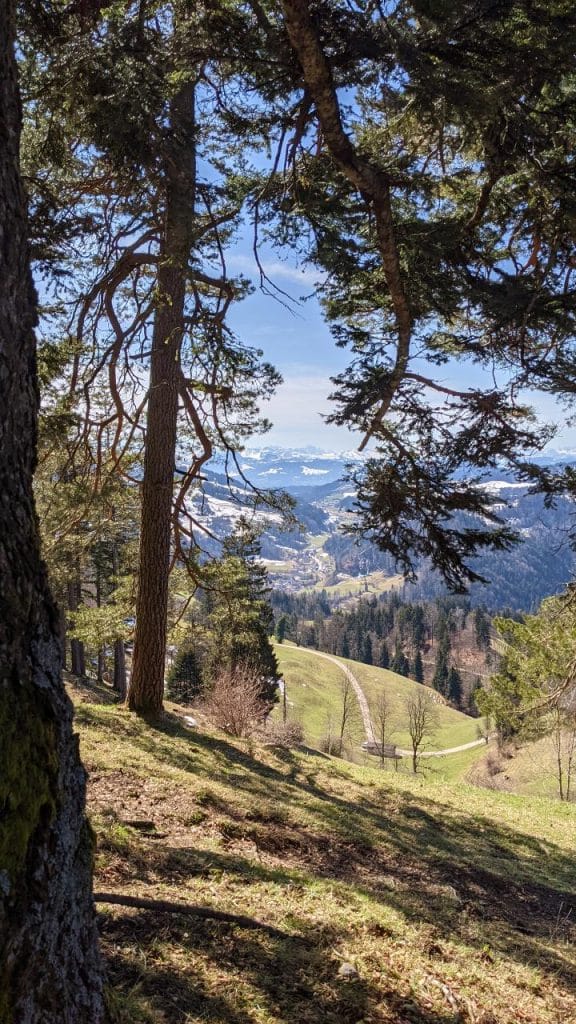 View from the hiking trail to Hörnli into Tösstal valley. In front of the picture green fields, in the background the Swiss Alps.