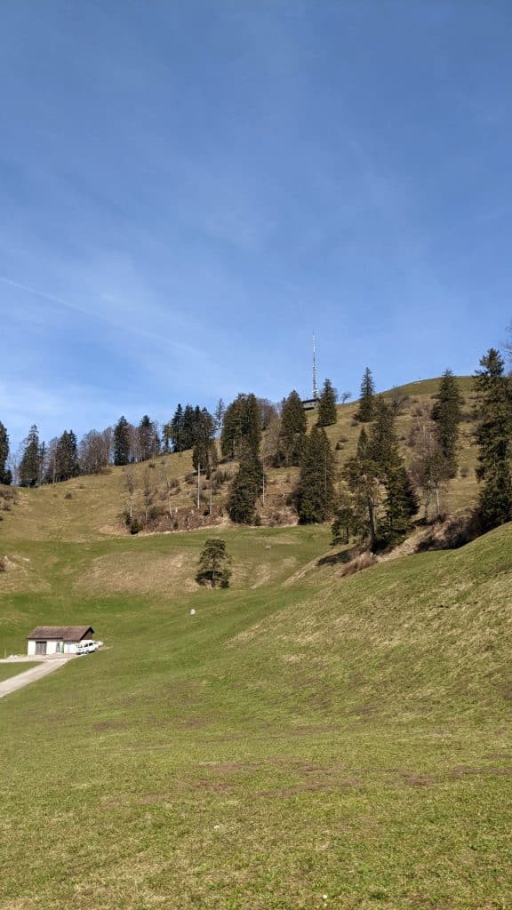 Blick von der Schotterstrasse über ein grünes Feld mit Bäumen zum Hörnli, einem Berg in der Region Zürich.