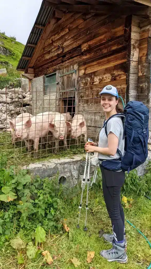 Solène hat beim Wandern zur Blüemlisalphütte einige Schweinchen gefunden