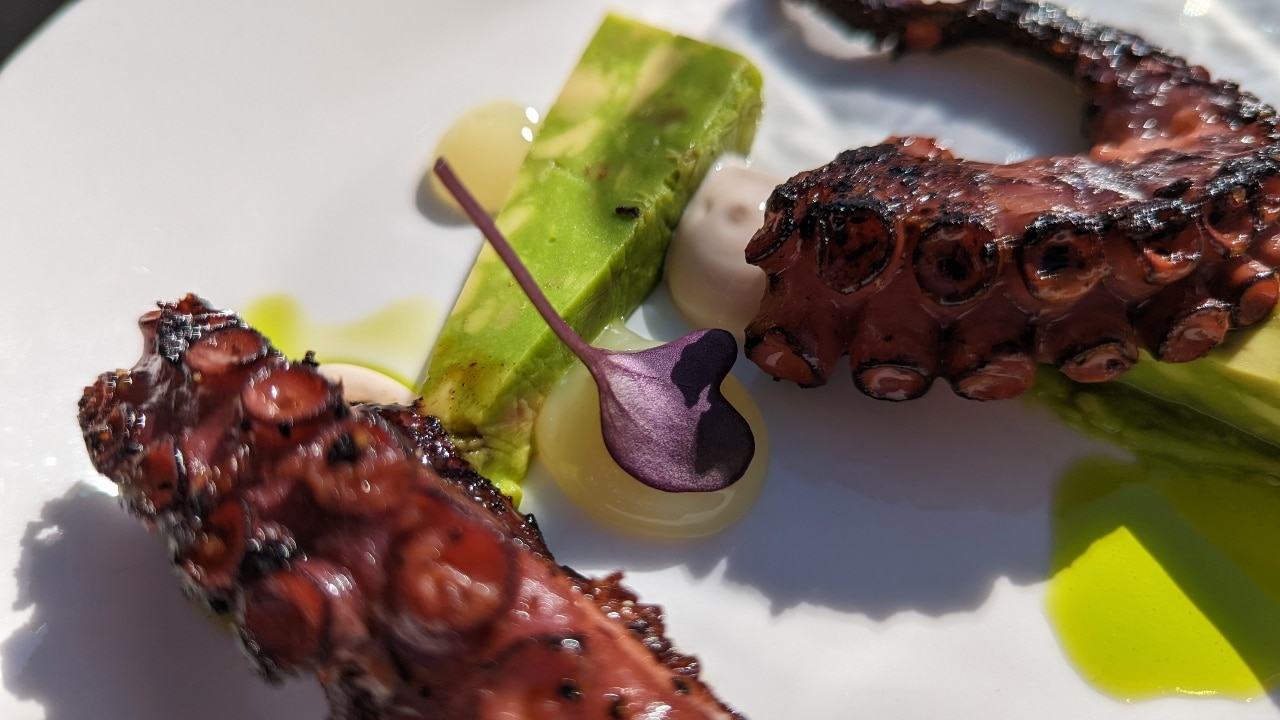 Grilled Octopus at Restaurant Tremondi in Quinten
