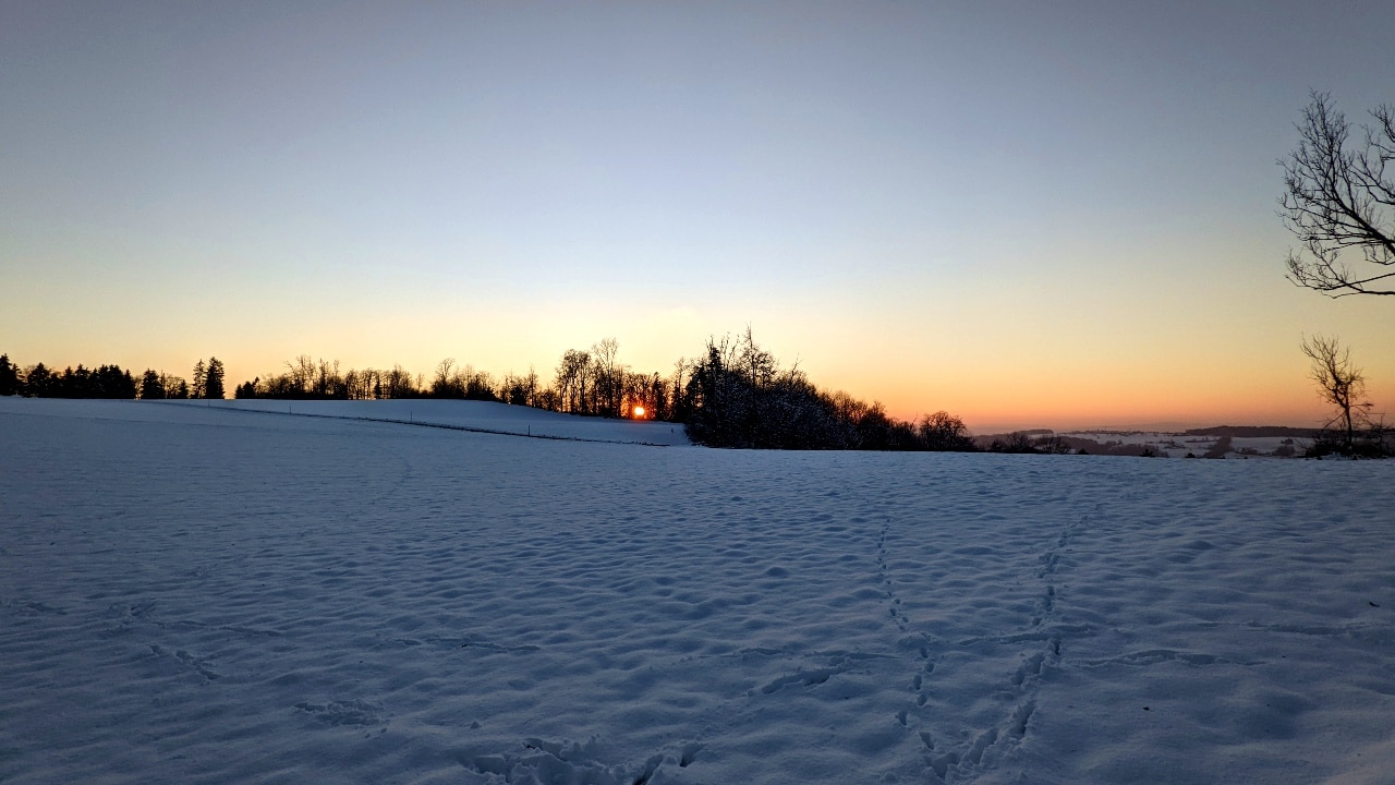 Sonnenuntergang bei Balderen auf der Wanderung vom Uetliberg zur Felsenegg im Winter