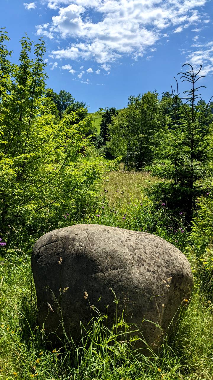 Une pierre au milieu du paysage sur le chemin qui longe l’Emme