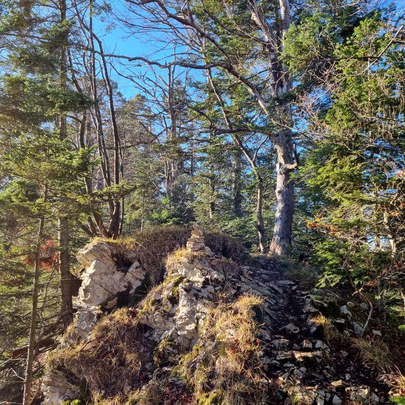 Felsen auf der Rundwanderung Nunningerberg