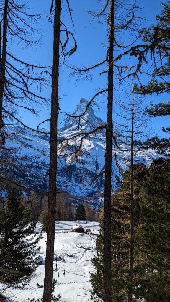 Im Vordergrund sind kahle Bäume, durch die spärlichen Zweige hindurch sieht man das Matterhorn. Der Himmel ist stahlblau.