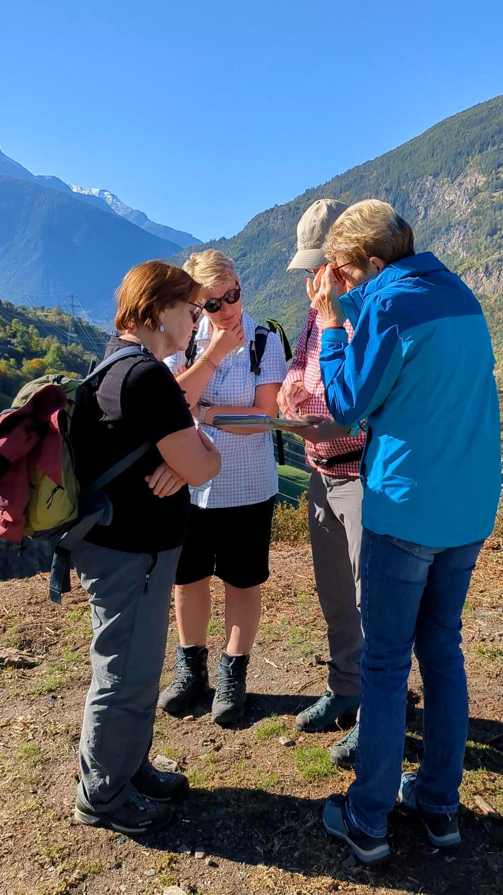 Four people stood in a circle and tried to solve the questions on the clipboard. Behind it, there are mountains and a cloudless sky.