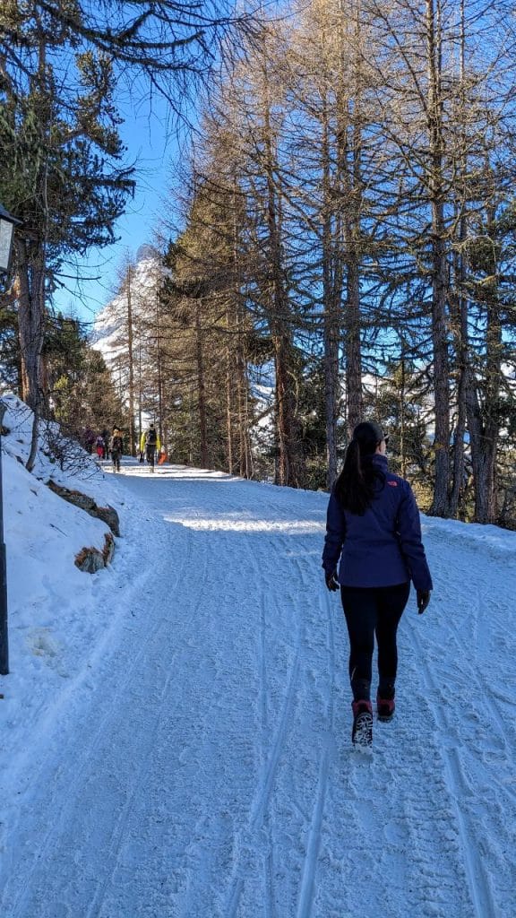 Slène wandert auf einem schneebedeckten aber präparierten Winterwanderweg auf der Riffelalp. Im Baume säumen den Wegrad. Im Hintergrund ist die Hälfte des Matterhorns zu sehen.