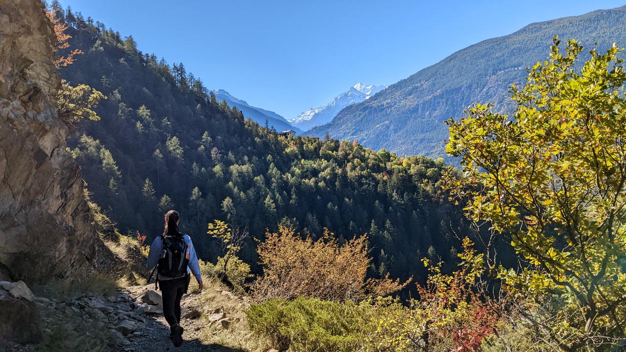 Solène hikes down a rocky path. On the left side is a rock wall. In the background, one can see a forest and behind it the mountains Dürrenhorn and Platthorn