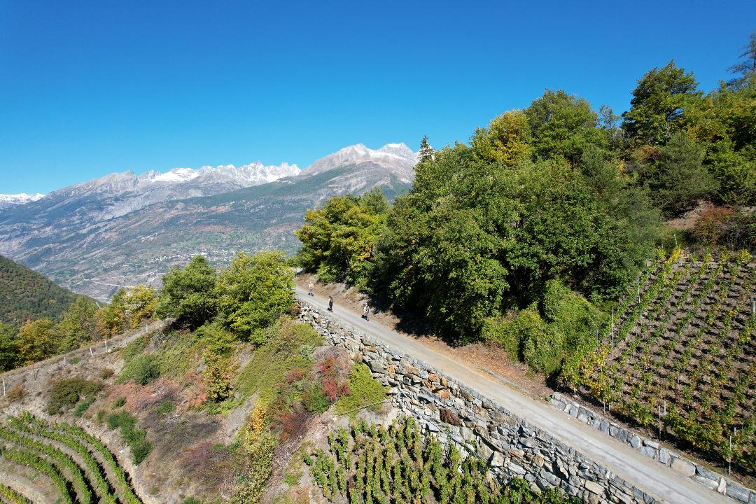 An asphalt road leads up the vineyard between the vine terraces. in the background, one can see the mountains behind the village of Visp. Clear blue sky.
