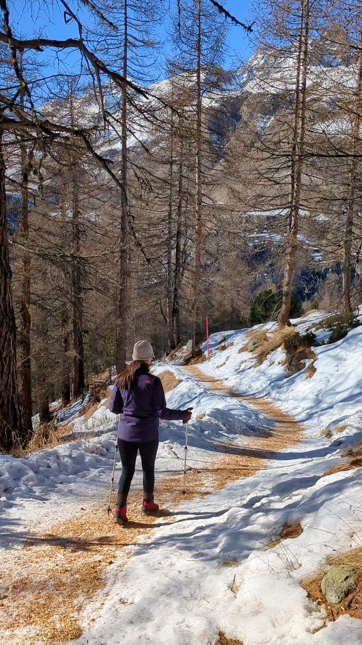Solène walks downhill with sticks on the hiking trail prepared with wood chips. There is snow everywhere. Fir trees line the trail and through the forest you can see mountains and a blue sky.