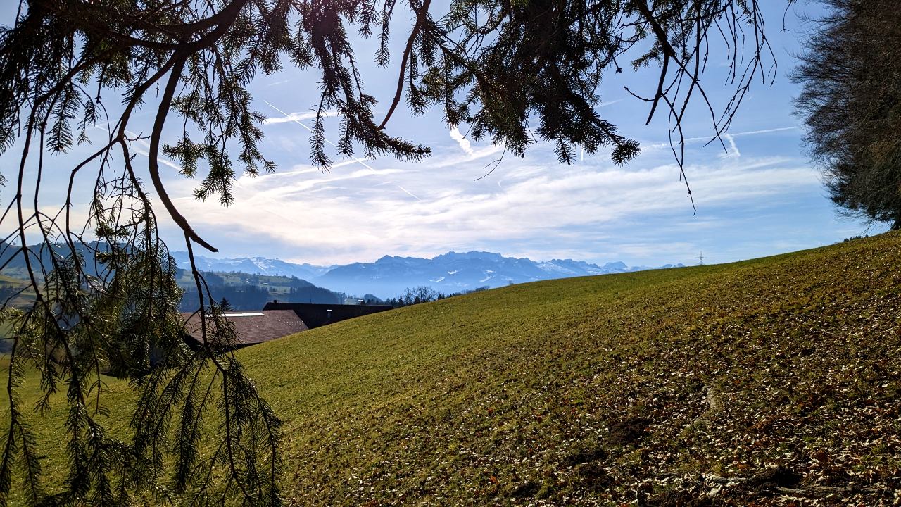 Bachtel Wanderung: Aussicht auf den Hinter Sennenberg