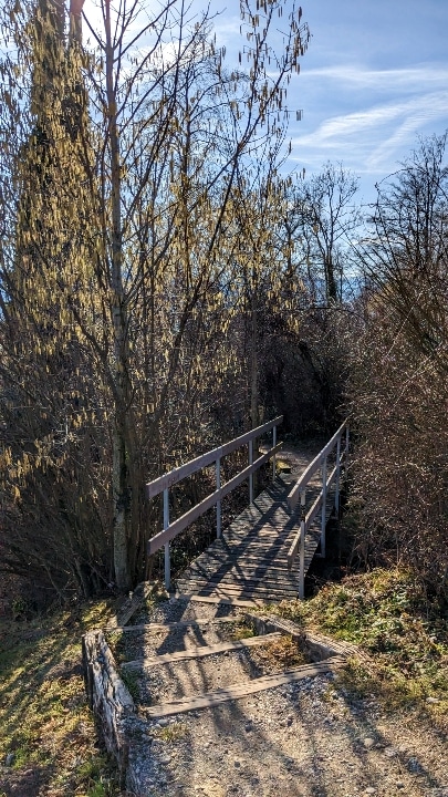 Abstieg vom Bachtel: Brücke bei Wald ZH