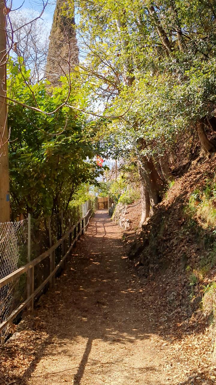 Hiking trail Sentiero dell'olivo (Olive Trail)