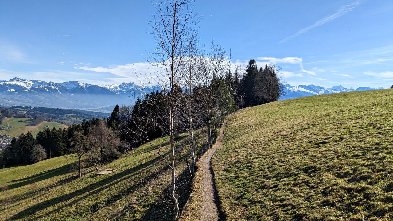 Wiesenweg in der Nähe des Bachtelspaltes (Bachtel - Wald ZH)