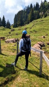 Solène entdeckt Kühe auf dem Zwärgliweg