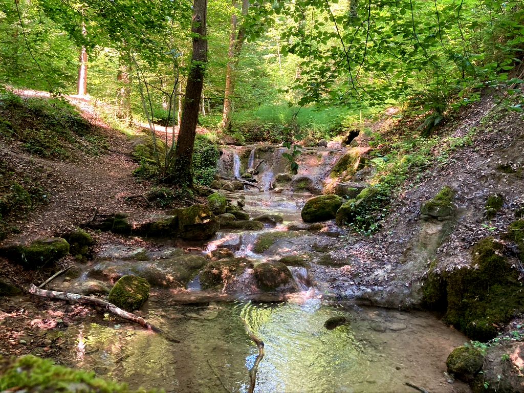 Dorfbach mit vielen kleinen Wasserfällen im Meilemer Tobel