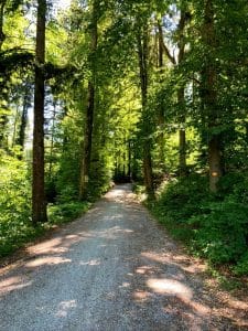 Waldeingnan Forch für die Wanderung auf den Pfannenstiel