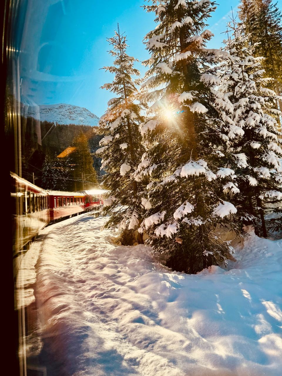Anreise mit der RhB von Chur nach Arosa - ein Wintermärchen
