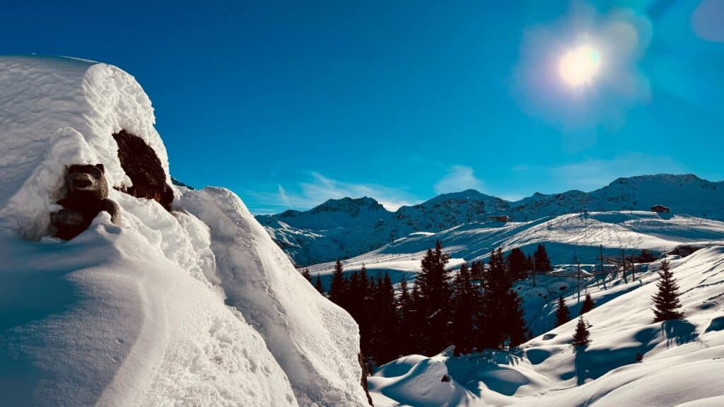 Der Winterwanderweg vom Prätschli führt in Bärenland Arosa