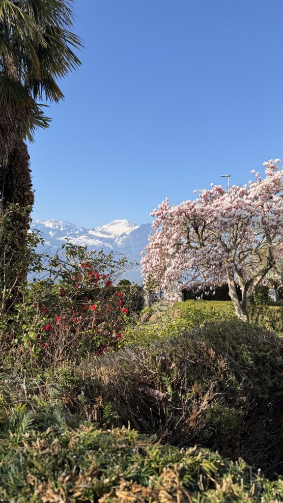 Frühling in Gersau