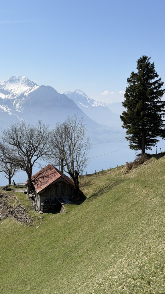 Ochsenalp ob Gersau