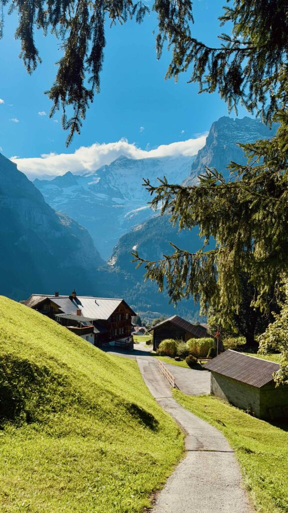 Ein Wanderweg führt durch grüne Wiesen zu einer rustikalen Holzhütte, eingerahmt von Tannen und der Eiger-Nordwand.