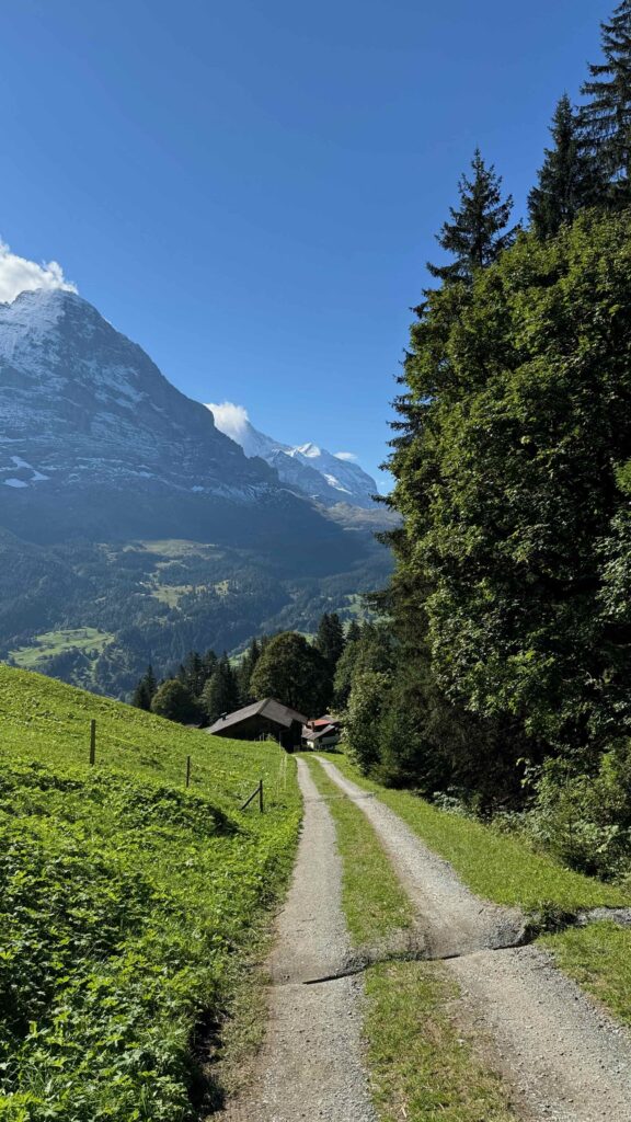 Ein schmaler Pfad führt bergab zu einer Ansammlung von Chalets vor der Kulisse der Berner Alpen.